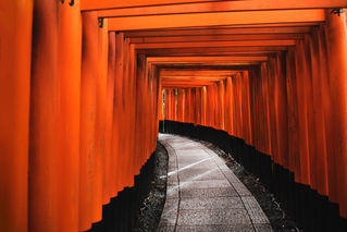 I Kyoto you.