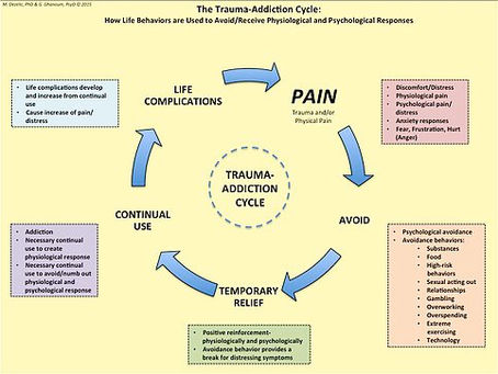 THE TRAUMA-ADDICTION CYCLE