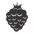uva.png
