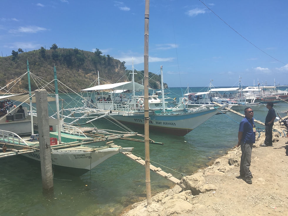 Barcos para llegar a la isla