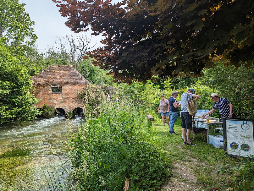 Visitors in grounds of Eel House