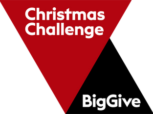 Access for all: Empowering Communities through The Big Give Christmas Appeal!