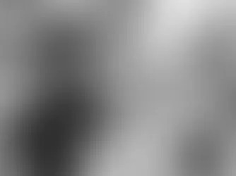 Celebrating Pride Month: A Journey of Progress, Pride, and Perseverance