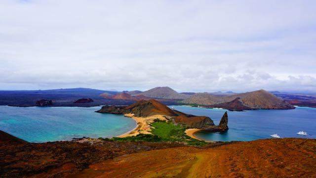 DSC08546