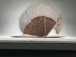 Armadillo Pavilion Shell