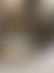 Sculpture Birds Eye View