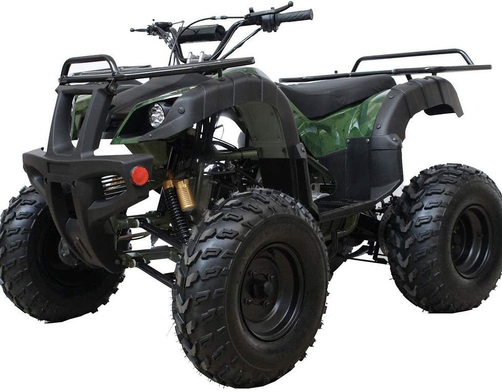 Ricky Powers Sports TK200B5 169cc ATV BIG Size Utility for youth and adults..