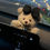 Thumbnail: Car Internet Celebrity Accessorie Used For Car Gear Shift Decoration Cute Turn S