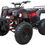 Thumbnail: Ricky Powers Sports TK200B5 169cc ATV BIG Size Utility for youth and adults..