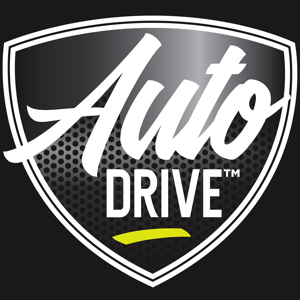 Thumbnail: Auto Drive Stainless Steel Anti-Theft License Plate Fasteners Kit, 93360W