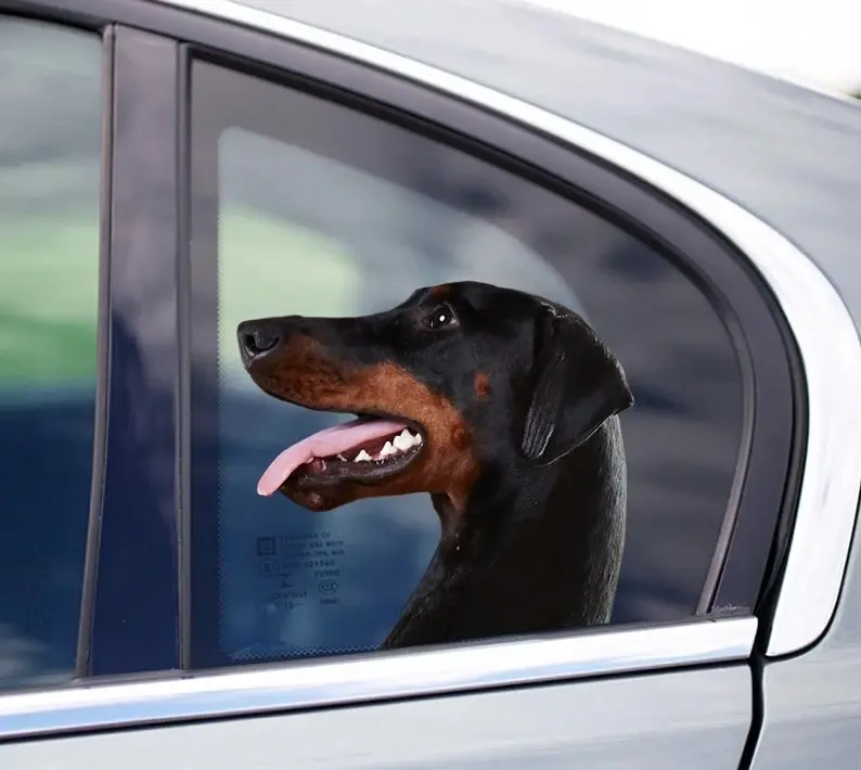 Thumbnail: 15cm Chocolate Labrador Window Sticker, Chocolate Lab Car Decal, Labrador Decal