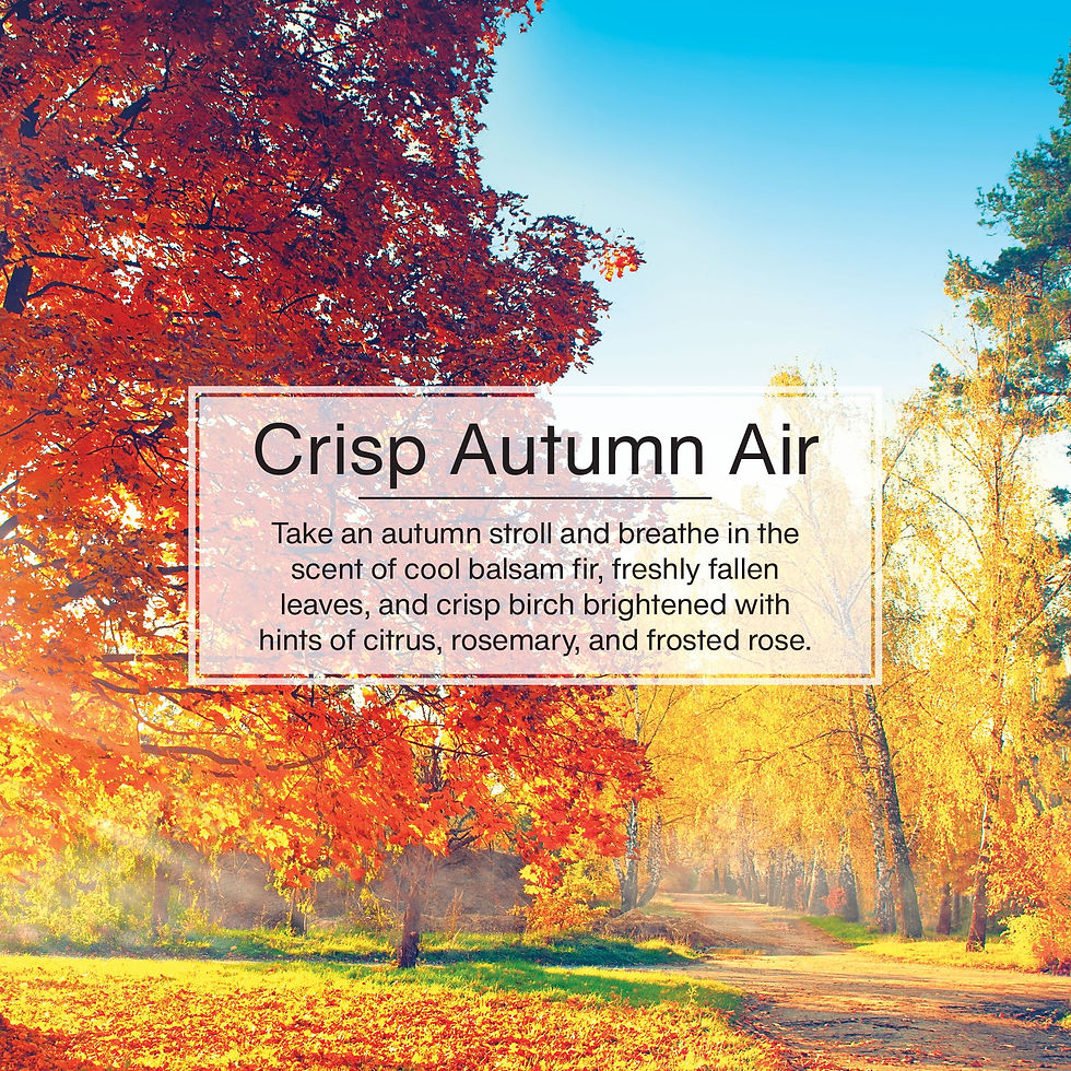 Thumbnail: Little Trees Air Freshener Crisp Autumn Air Fragrance 3-Pack