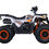 Thumbnail: Taotao Raptor 200 169 Air Cooled, 4-Stroke, 1-Cylinder, Automatic-Black