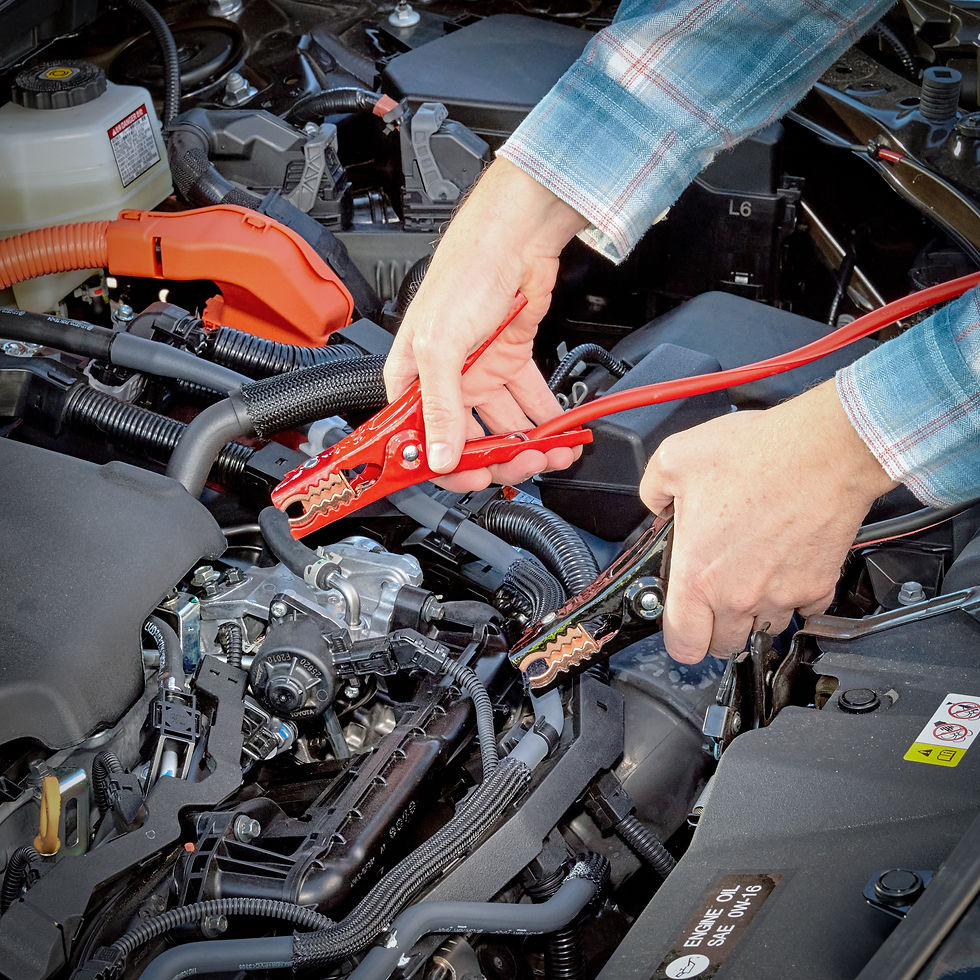 Thumbnail: EverStart 12-Foot 8-Gauge Heavy Duty Booster Cables 165 Amps