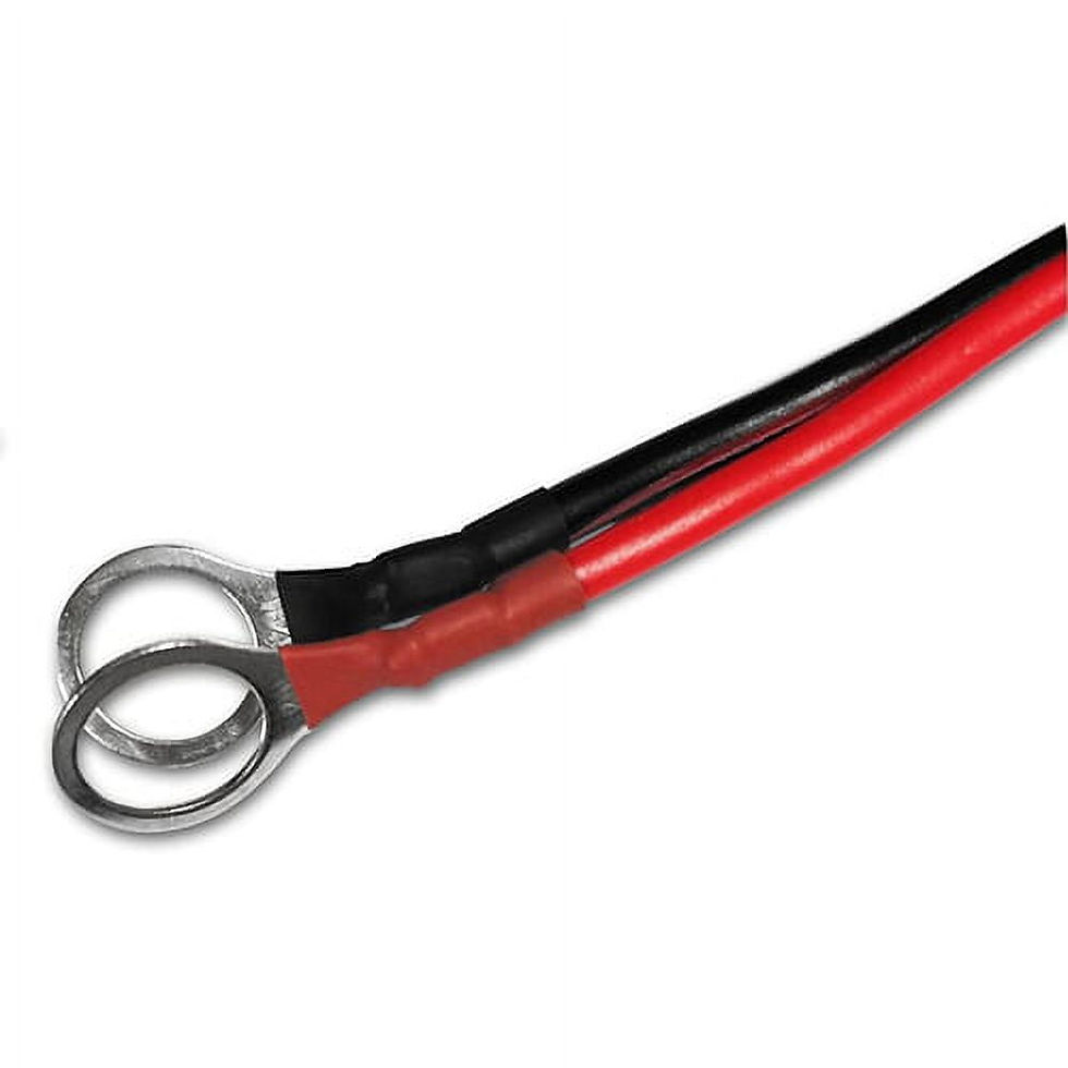 Thumbnail: Banshee Lithium LiFePO4 12V 10A 3 Bay Charger Maintainer for Auto & Marine ..