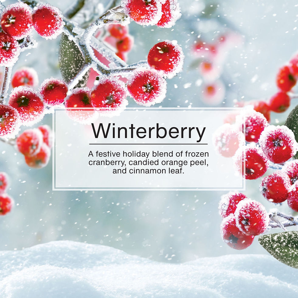 Thumbnail: Little Trees Air Fresheners Winterberry Fragrance 3-Pack