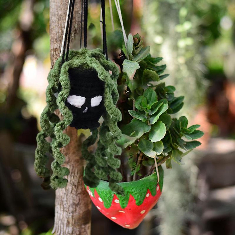Thumbnail: Crochet Succulents Ornament Spooky Decor Succulents Crochet Skull Basket Car Mir