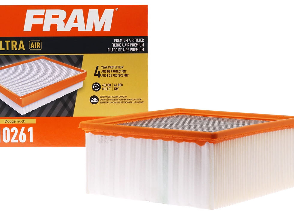 FRAM Ultra Air XGA10261, Premium Engine Air Filter for Select Dodge Trucks ..
