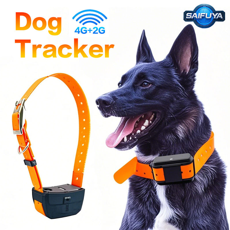 Pet Gps Tracking Device for Hunting Dogs, Dog Training Device, Remote Control, V