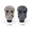 Thumbnail: Skull Gear Shift knob Car Manual Shift Lever Shift Lever Auto Parts Decorative K