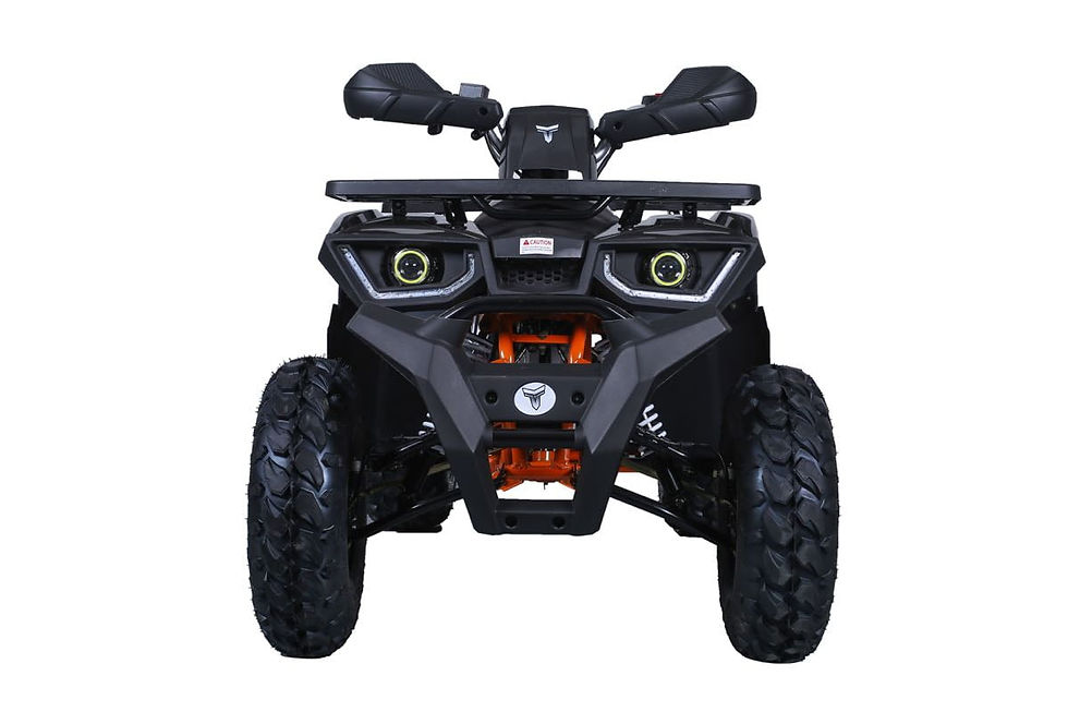 Thumbnail: Taotao Raptor 200 169 Air Cooled, 4-Stroke, 1-Cylinder, Automatic-Blue