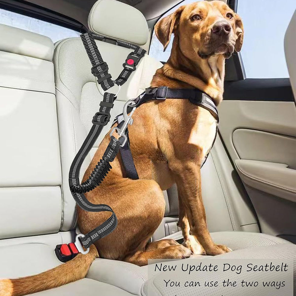 Thumbnail: 117cm Dog Seat Belt Adjustable Dog Car Harness Seatbelt Nylon Leash Seat Belt Wi