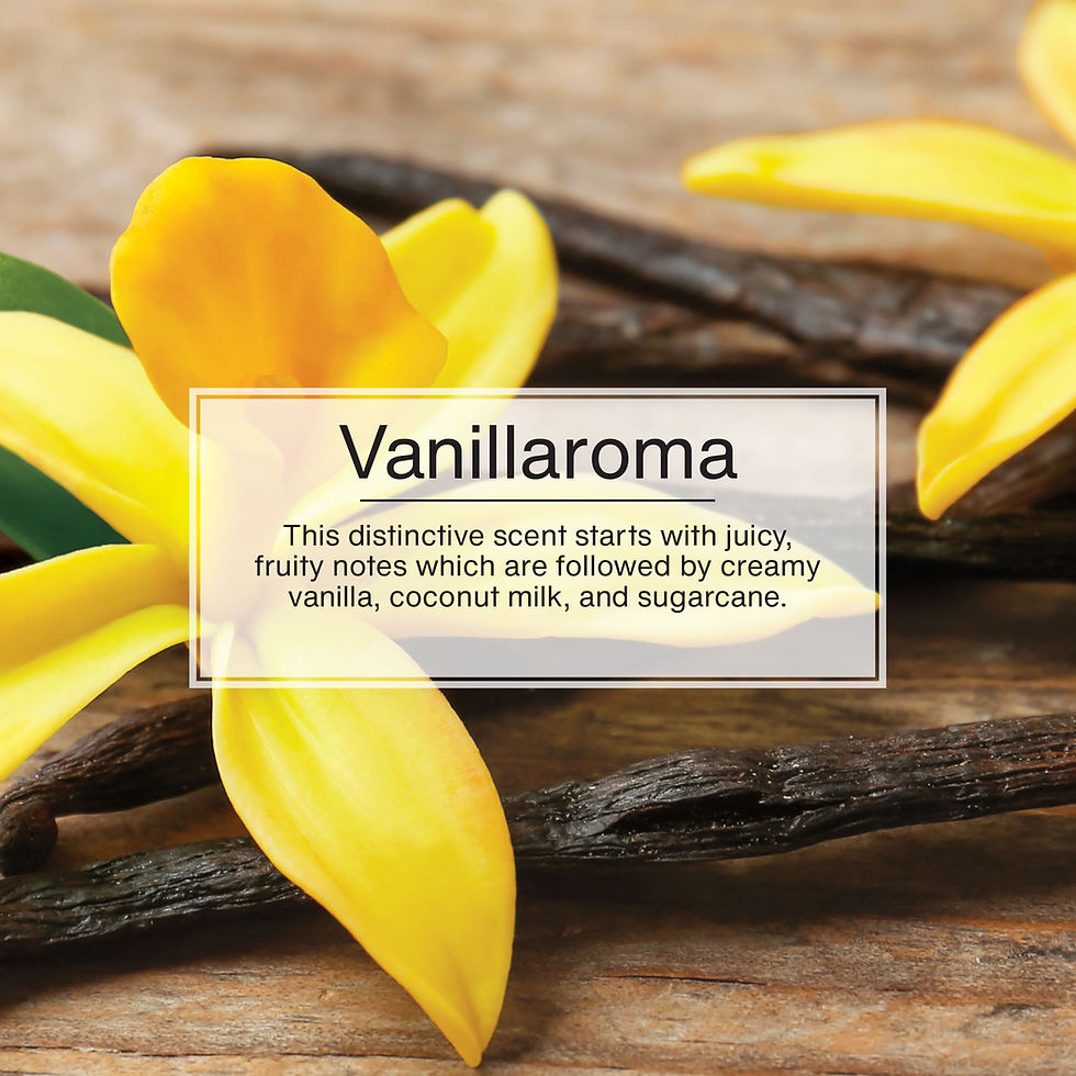 Thumbnail: Little Trees Auto Air Freshener, Hanging Card, Vanillaroma Fragrance 3-Pack