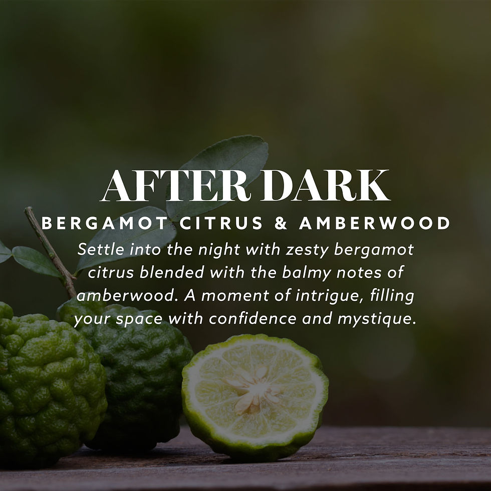 Thumbnail: Maison & Muse Car Freshener Vent Clip, 2 Pack - Bergamot Citrus & Amberwood..