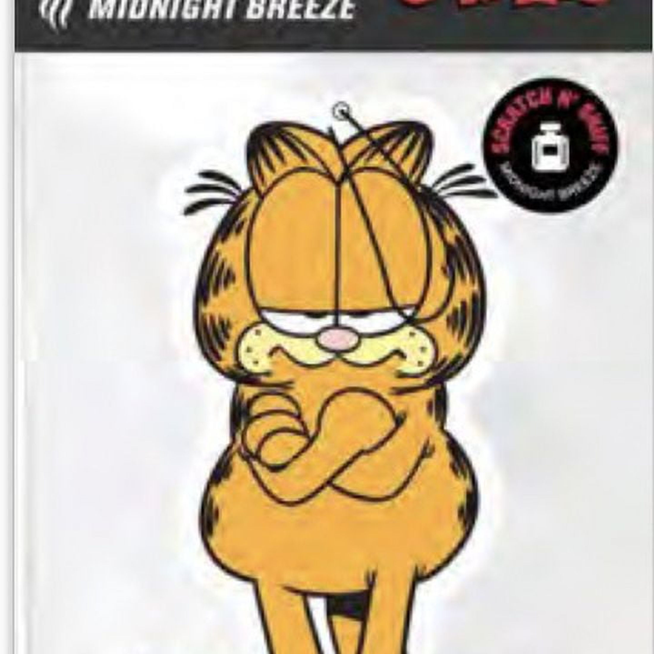 PSD Big Sniff, Garfield Cattitude Hanging Air Freshener 3 Pack with Vanilla..