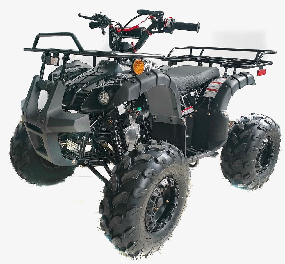 125D ATV Quad New Upgrade Model 4 wheelers | Pink Camo Big 16 x 8" Tire