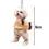 Thumbnail: 2D Acrylic Teddy Dog Pendant Cute Anthropomorphic Puppy Car Rearview Mirror Pend