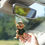 Thumbnail: 2D Car Pendant Acrylic Dog Drop Ornament Universal Auto Rearview Mirror Interior