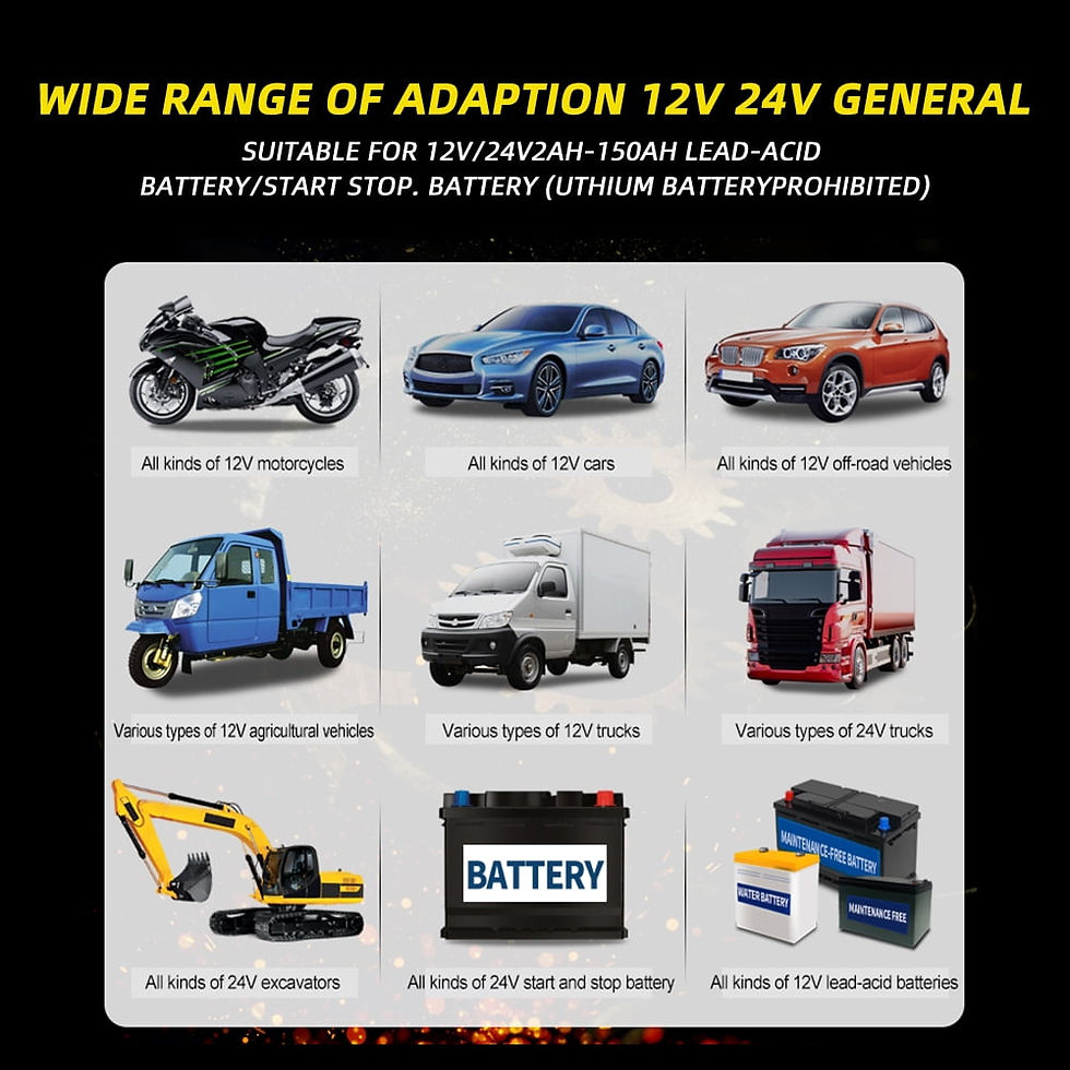 Thumbnail: Paddsun Car Battery Charger Smart Automatic 12V/24V Lead-acid AGM GEL& Lith..