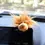 Thumbnail: Motorcycle Car Toys Decoration Funny Short Stuffed Lion Motorcycle Handlebars Au