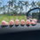 Thumbnail: Car Mini Pig Ornaments Auto Center Console DIY Decoration Pendant Cartoon Resin