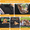 Thumbnail: Tensea Dog Car Seat Cover with 3 Hard Panels Holds 340Lbs,Waterproof Backseat Ex