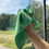 Thumbnail: Auto Drive Multipurpose Microfiber Towels 100 Count, Assorted Colors