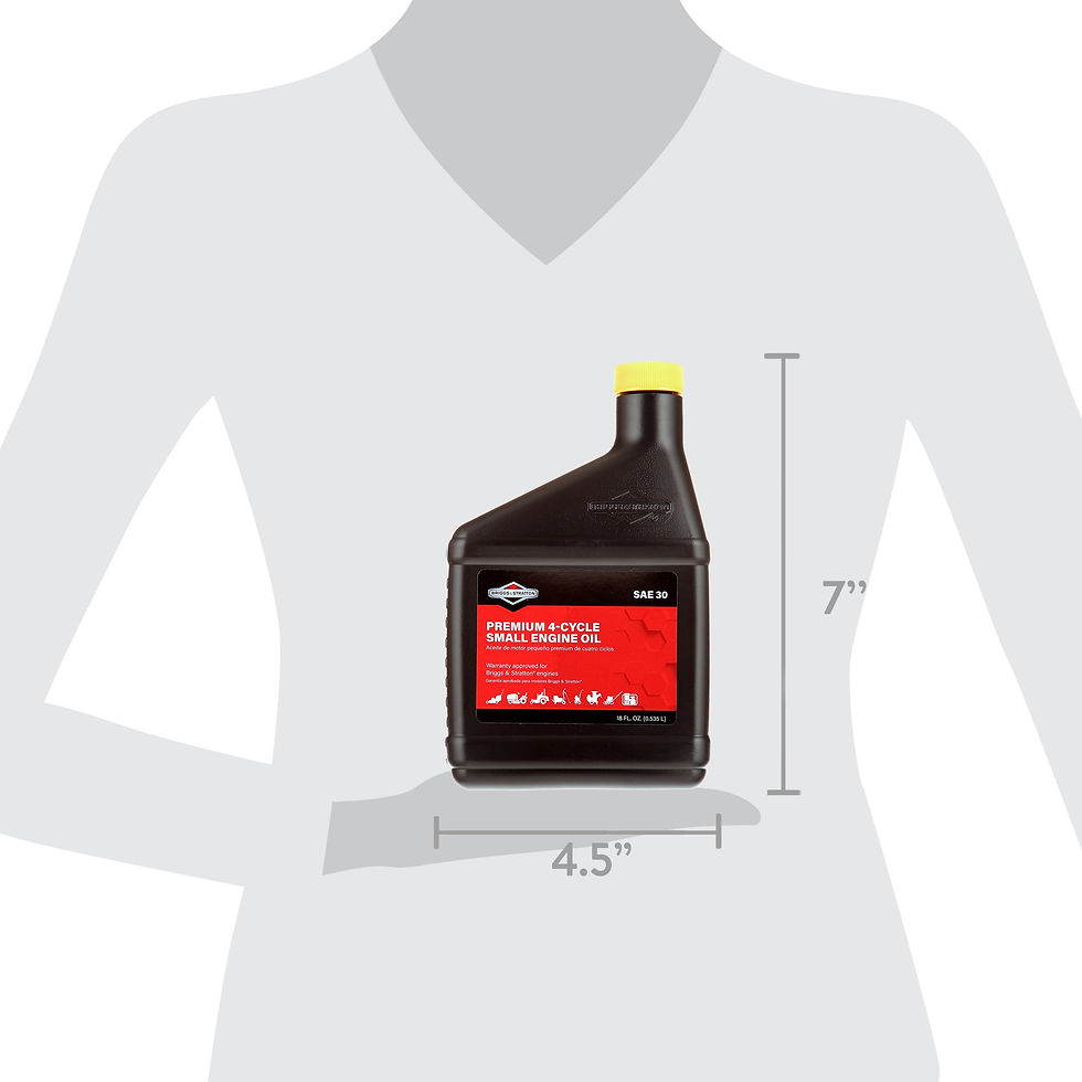 Thumbnail: Briggs & Stratton 100005 SAE 30W 4-Cycle Engine Oil, 18 oz. Bottle