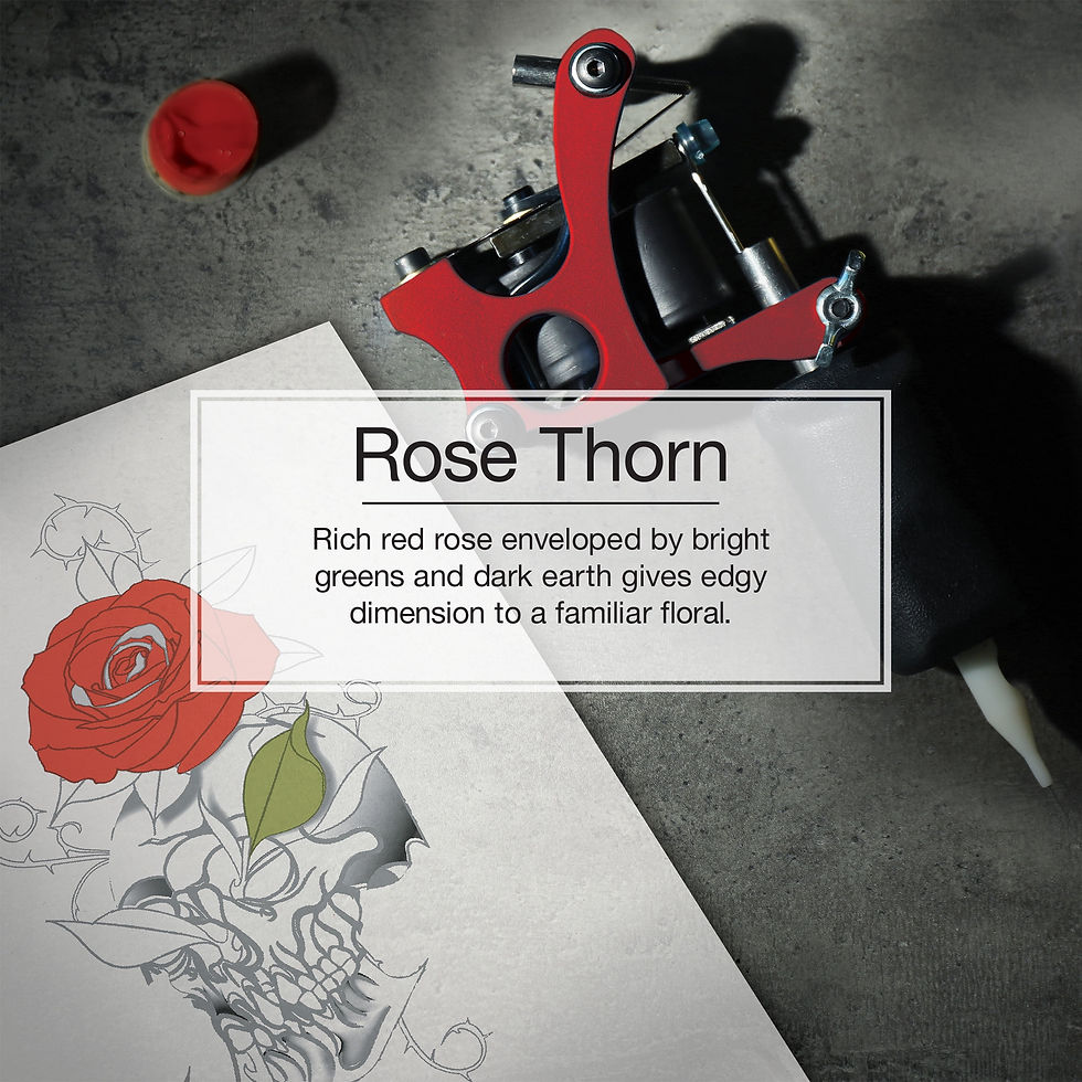 Thumbnail: Little Trees Auto Air Freshener, Hanging Card, Rose Thorn Fragrance 3-Pack