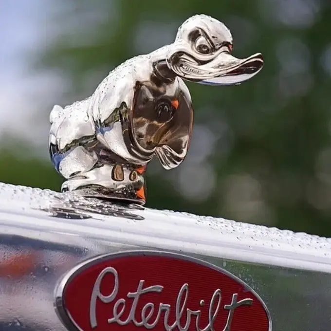 Hood Angry Duck Car Front Ornament Motorcycle Resin Decoration Duck Painting Ele