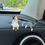 Thumbnail: Cute Car Center Console Decoration Ornaments Kitten Action Figure Auto Dashboard