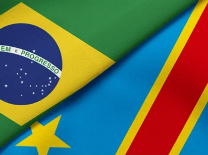 RDC BREZIL FLAG 2_edited.jpg