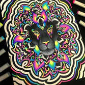 Electric Lion