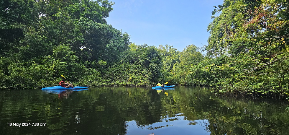 Inchathotty Kayaking in Periyar Forest