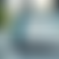 Elevate Your Business with Custom Ecommerce Solutions