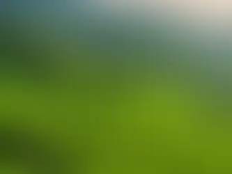 JioMotive in Kerala: Transforming Vehicle Connectivity