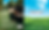 PLP_book_cover.png