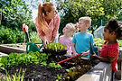 iStock-1340274687.jpg
