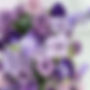 thumbnail_IMG_7855.jpg