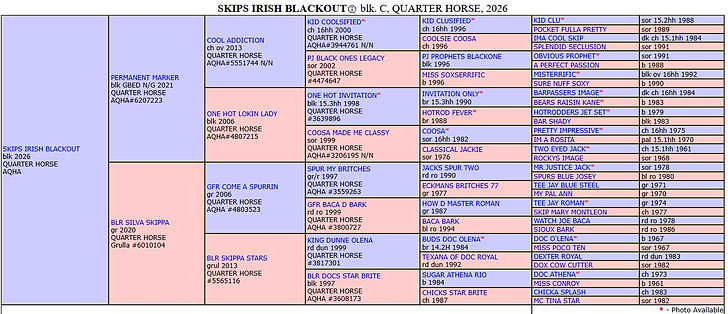 dublinpedigree.jpg